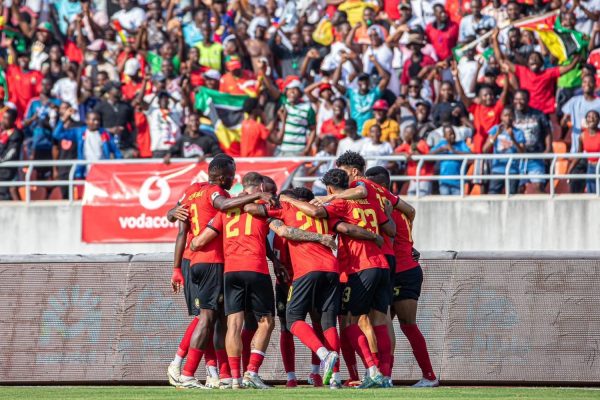 Mambas envenenam e devoram “zebras” no zimpeto