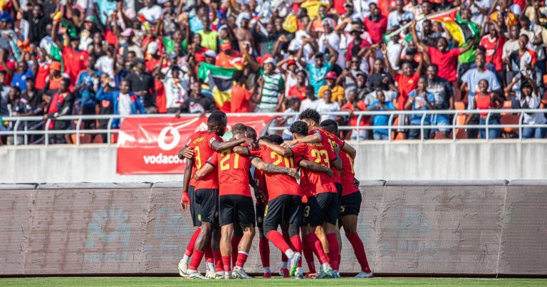 Mambas envenenam e devoram “zebras” no zimpeto