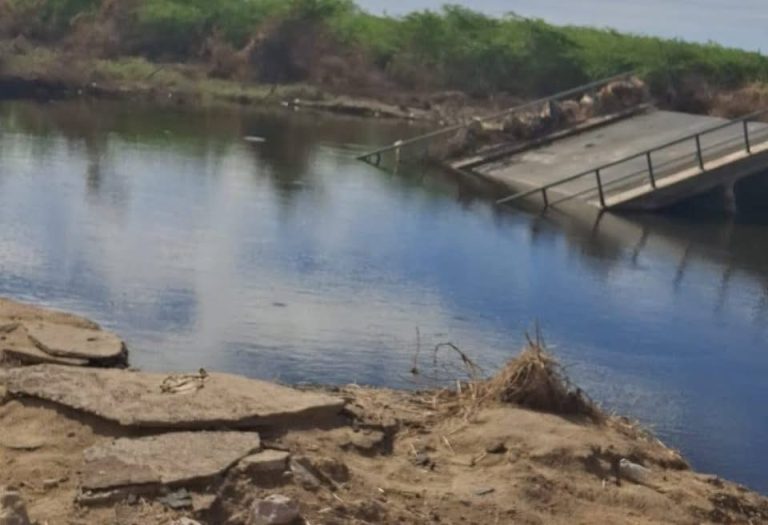 Gaza: entre a reconstrução e o dilema da sobrevivência pós-cheias