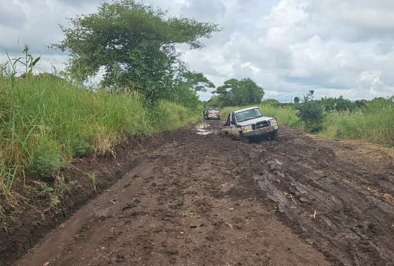 Fúria das águas “divide” País: ANE reconhece limitações de transitabilidade entre o sul e o norte