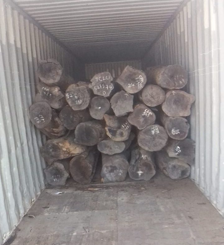 Empresário foragido como líder de esquema que exportou ilegalmente 406 contentores de madeira em Pemba