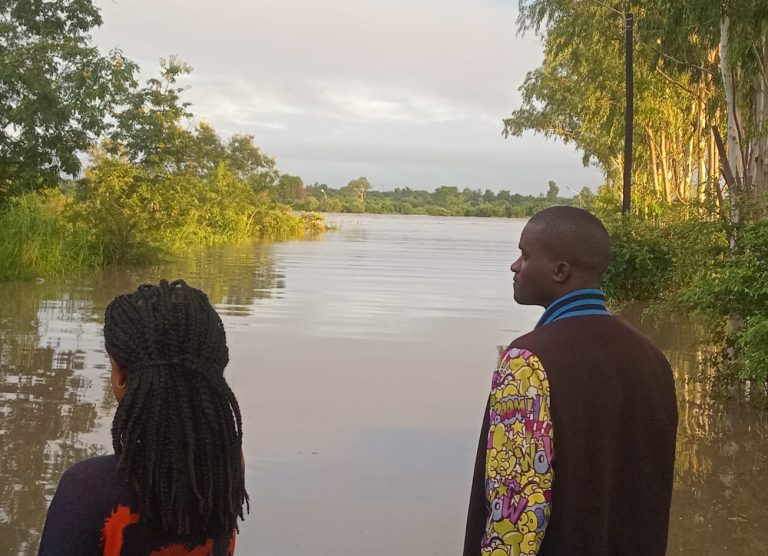 Duas pessoas desaparecem após ataque de crocodilos no rio Malema