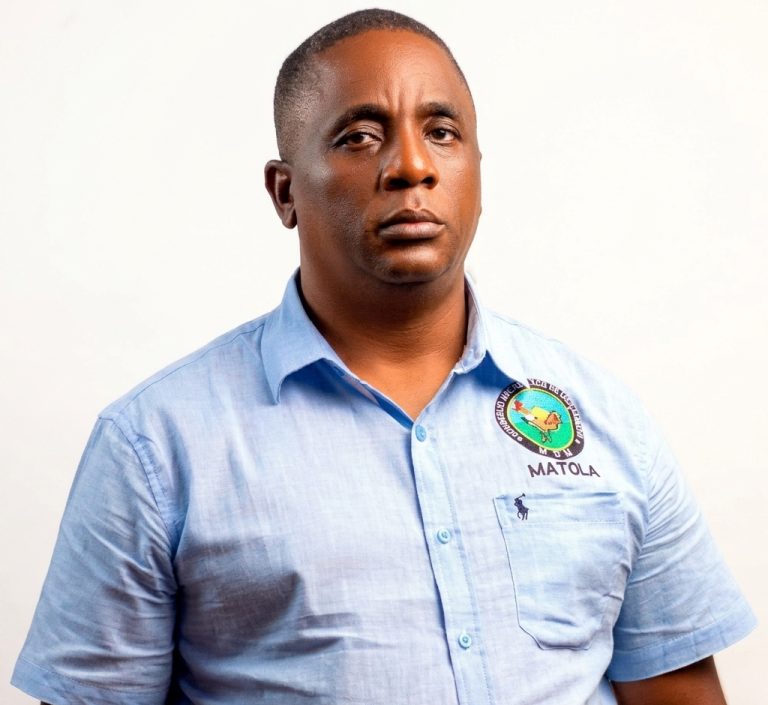 “Candidatura única de Venâncio Mondlane mostra que membros se sentiram pequenos para assumir o leme”, diz Augusto Pelembe