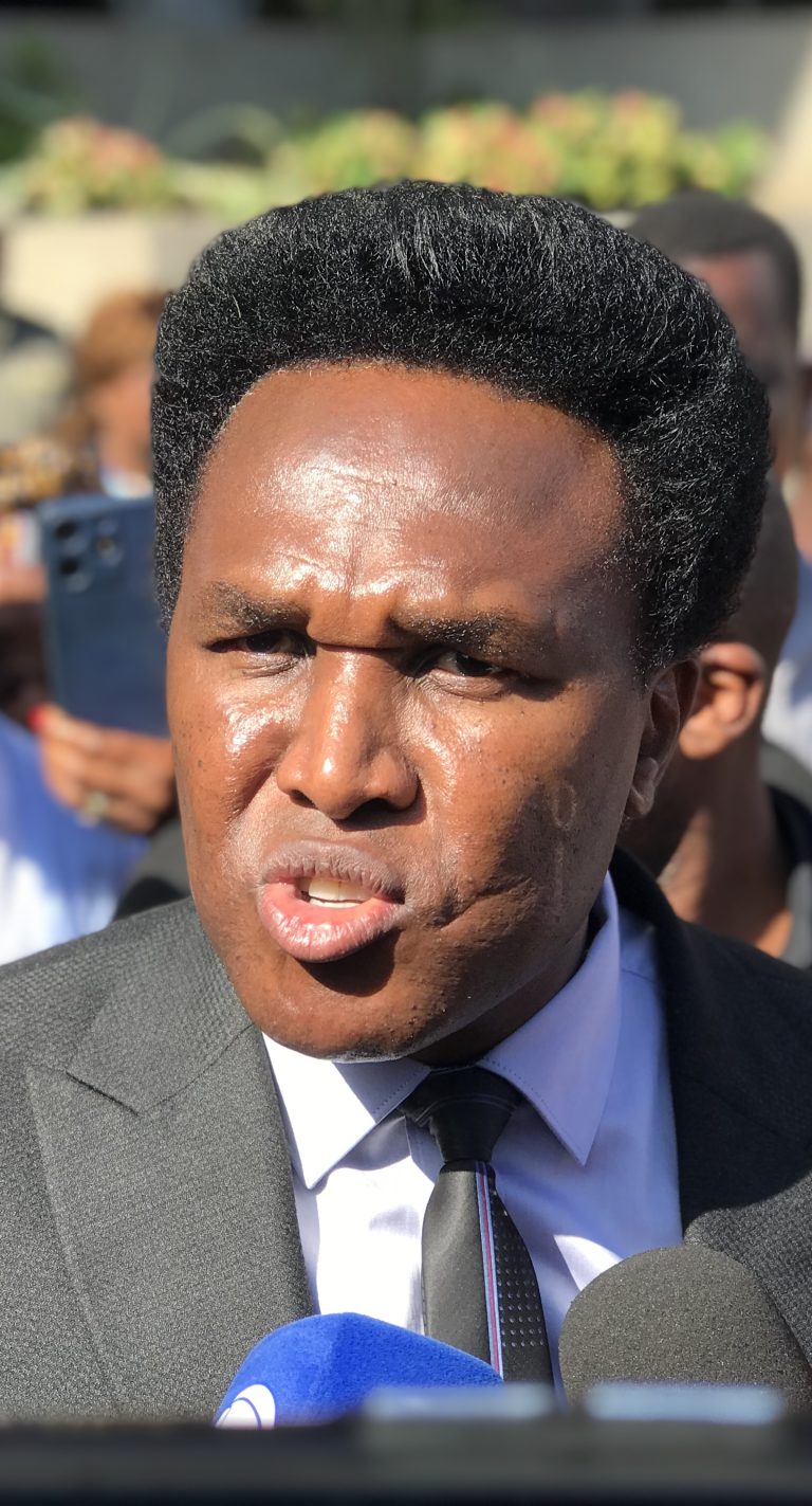 Venâncio Mondlane denuncia “leilão” da soberania nacional