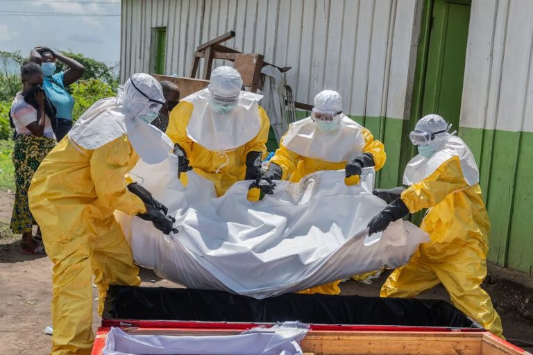Ébola: “inimigo mortal” ameaça espalhar-se em áfrica e OMS pede alto nível de preparação